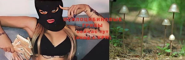 PSILOCYBIN Лагань