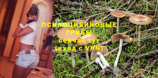 ПСИЛОЦИБИНОВЫЕ ГРИБЫ Кулебаки