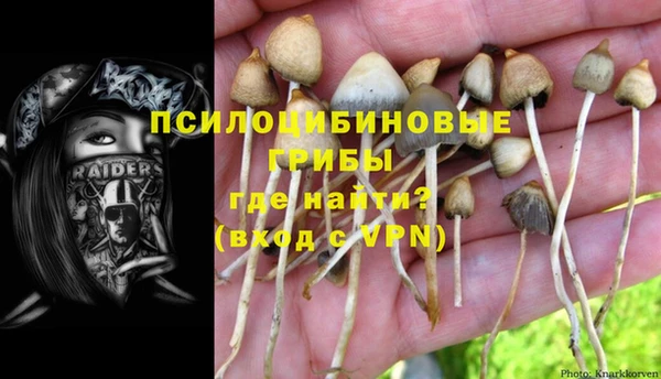 таблы Ладушкин