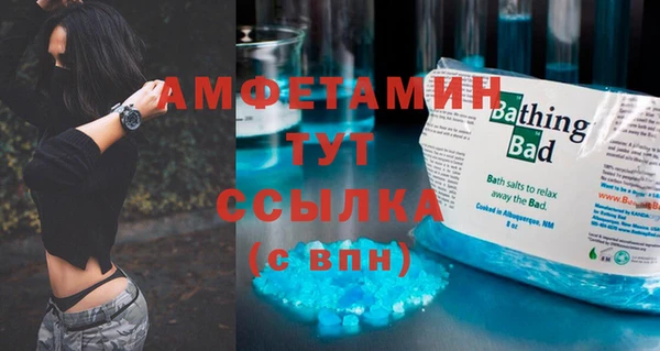 ПСИЛОЦИБИНОВЫЕ ГРИБЫ Кулебаки