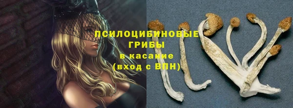 мяу мяу мука Лихославль